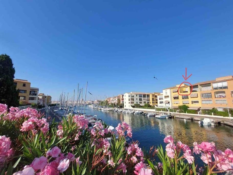 Cap'Nomad Studio Cote Port - Terrasse - Piscine - Parking Agde Exteriör bild