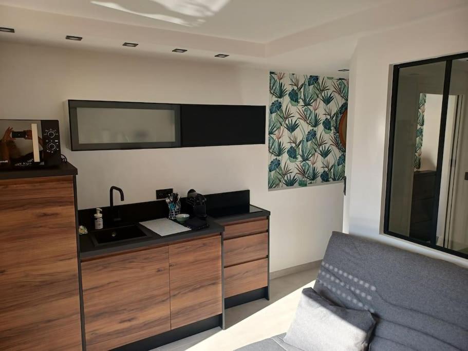 Cap'Nomad Studio Cote Port - Terrasse - Piscine - Parking Agde Exteriör bild
